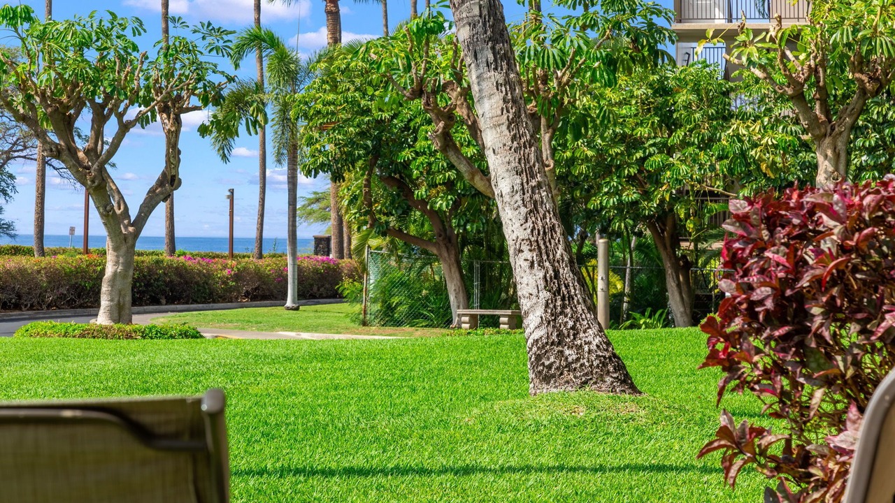 Photo of Others in Kihei