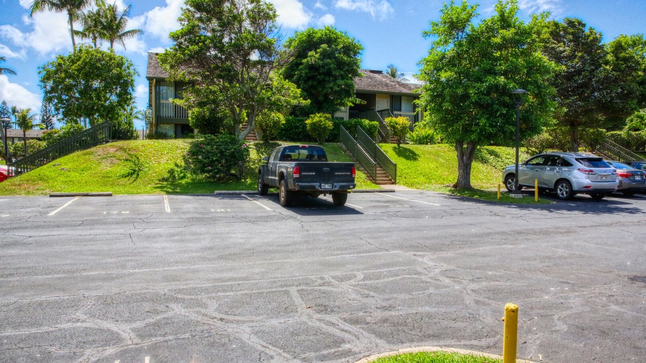Photo of Outdoor in Kahuku