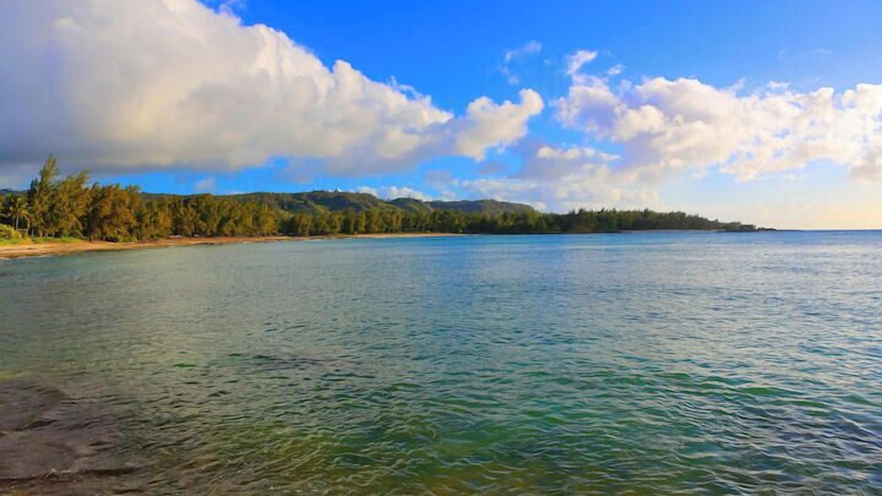 Photo of Others in Kahuku