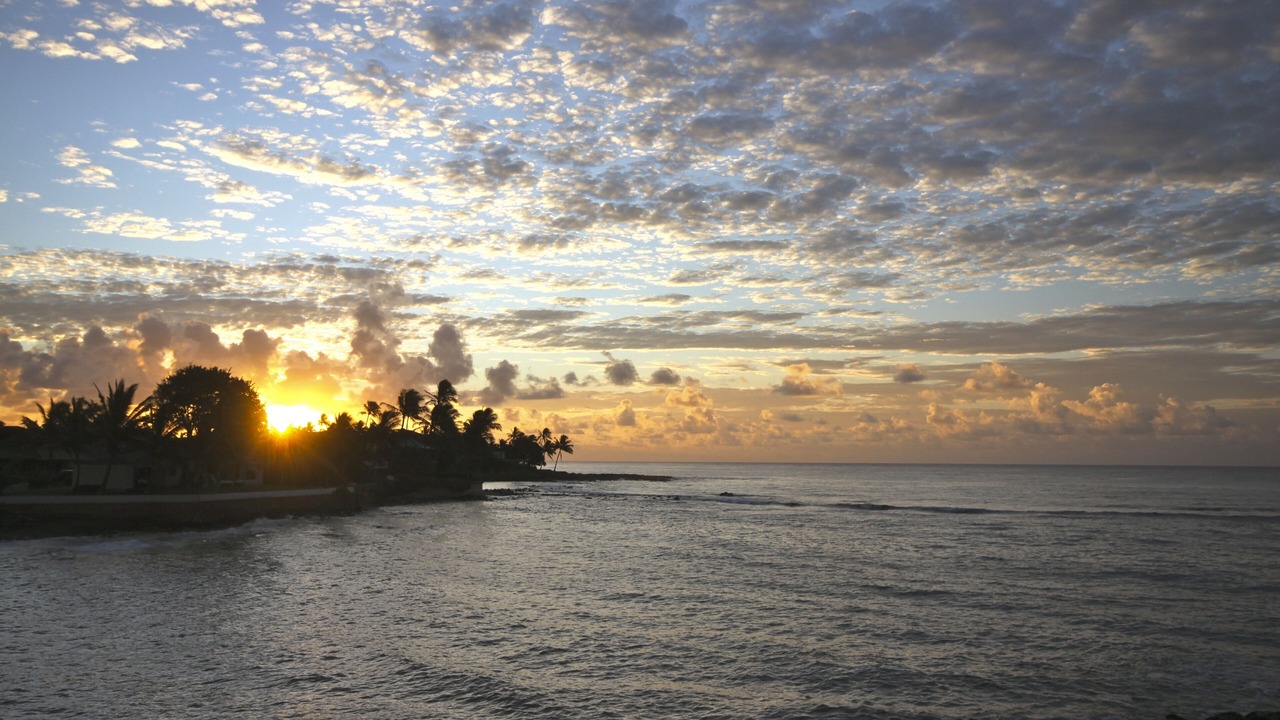 Photo of Others in Poipu