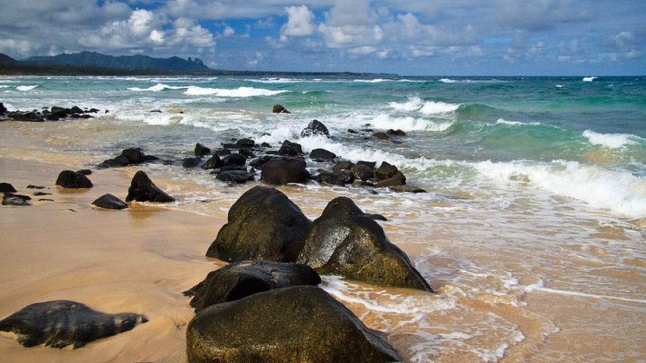 Photo of Others in Hanamaulu