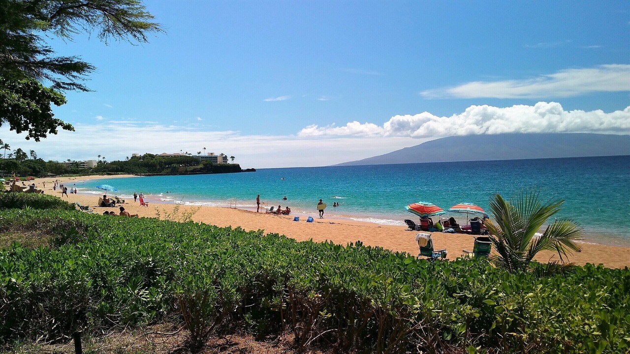 Photo of Others in Kaanapali