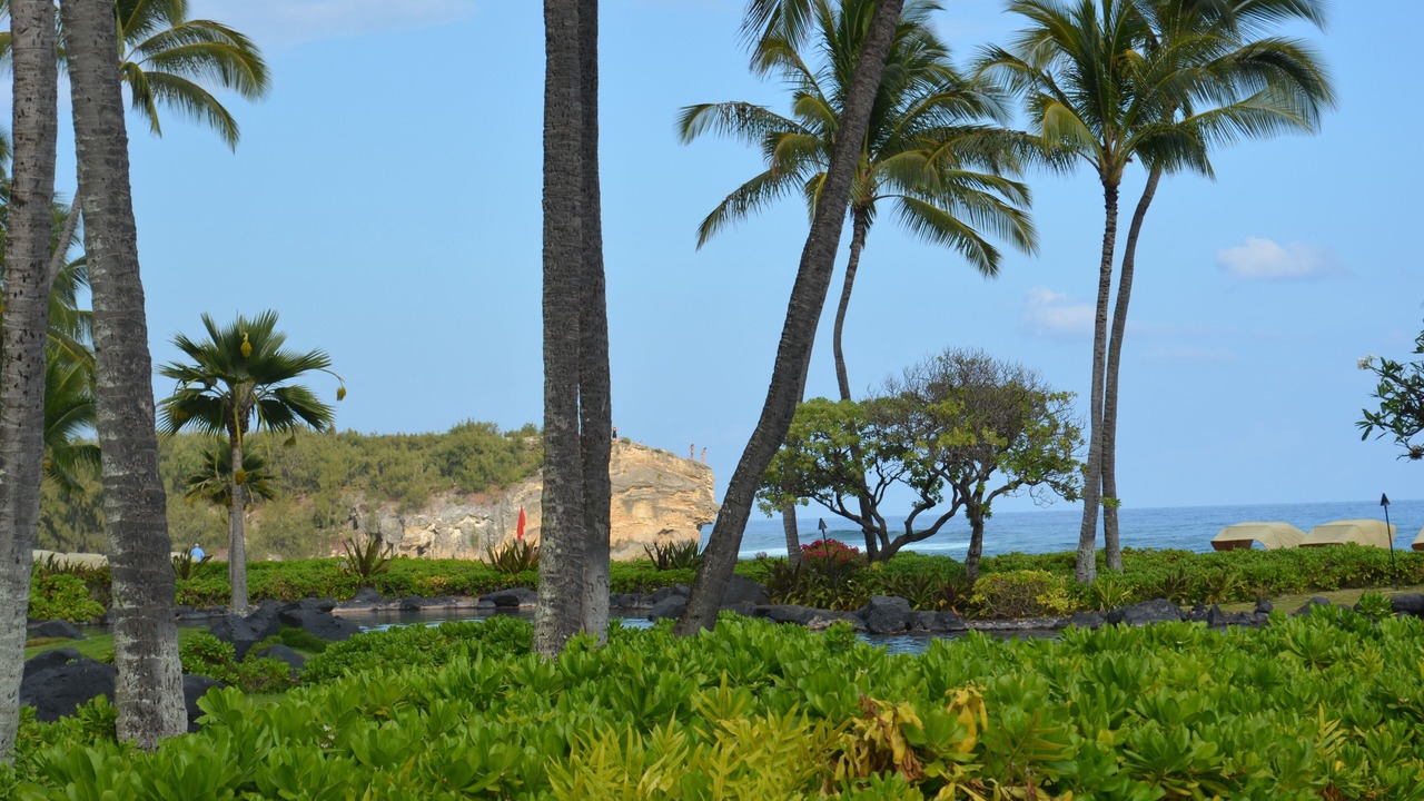 Photo of Others in Wailua