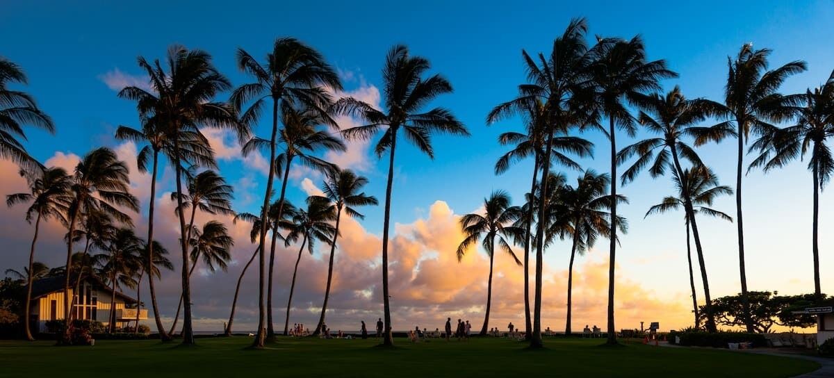 Photo of Others in Poipu