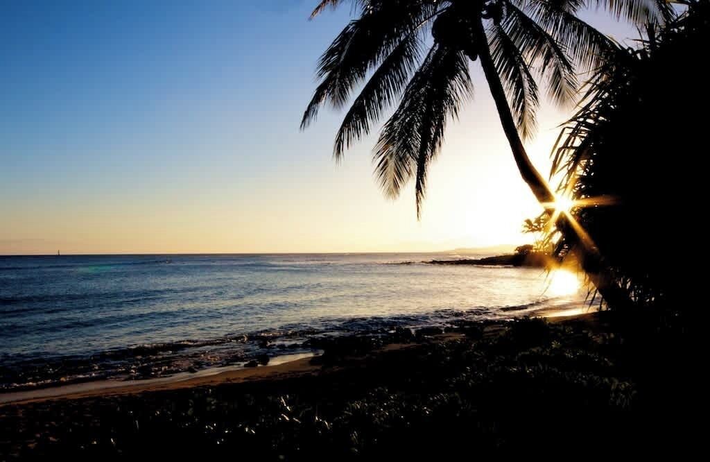 Photo of Others in Poipu
