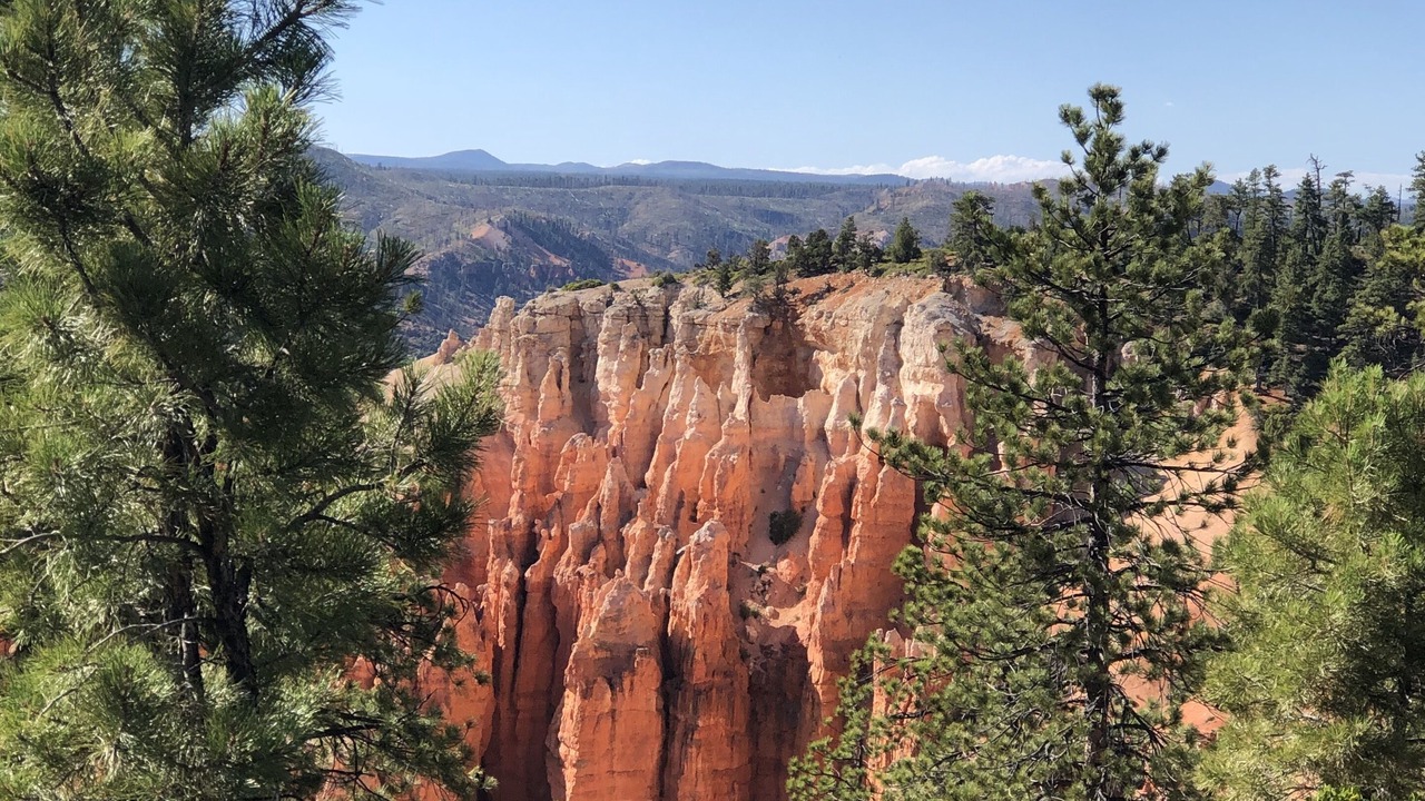 Photo of Outdoor in Duck Creek Village