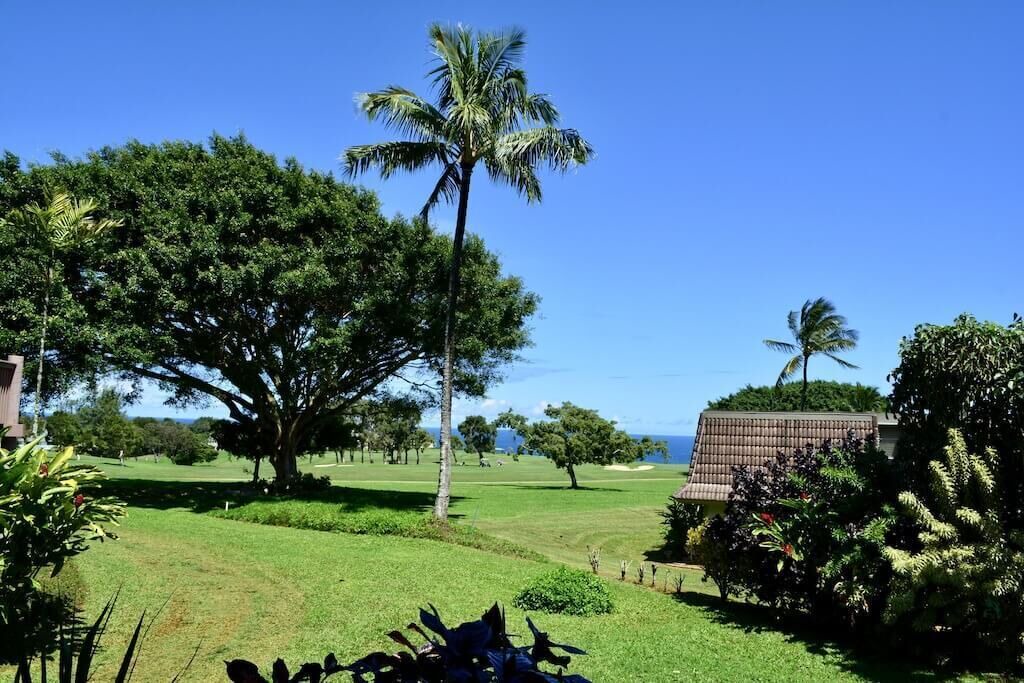 Photo of Others in Princeville
