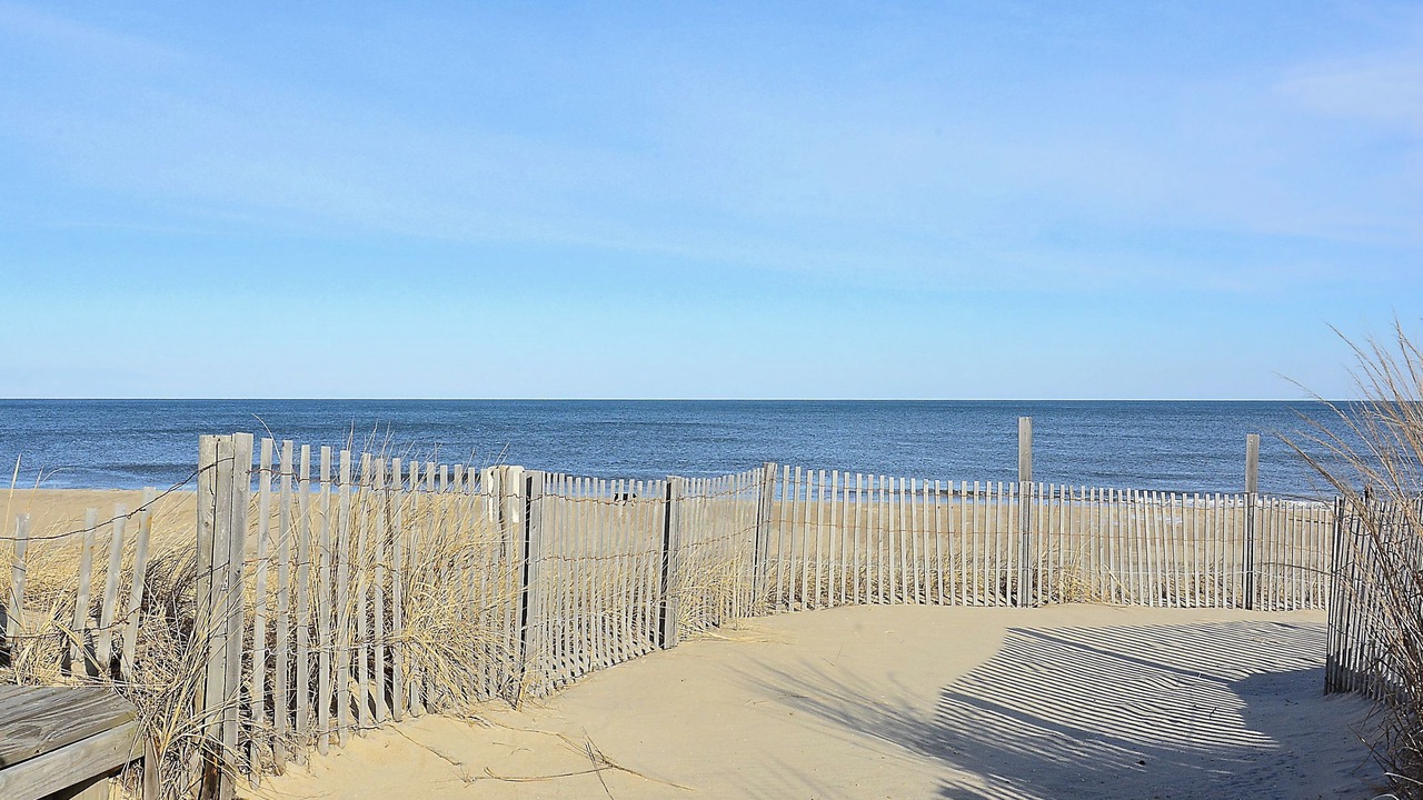 Photo of Outdoor in South Bethany