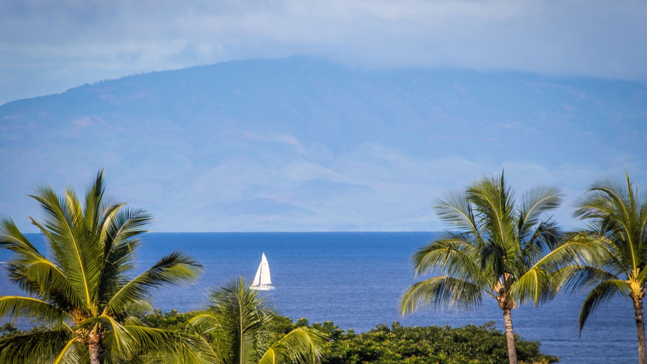 Photo of Others in Wailea