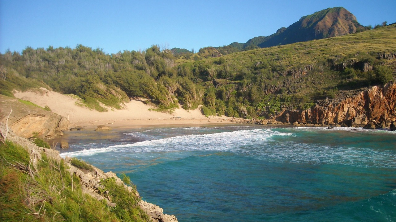 Photo of Others in Poipu