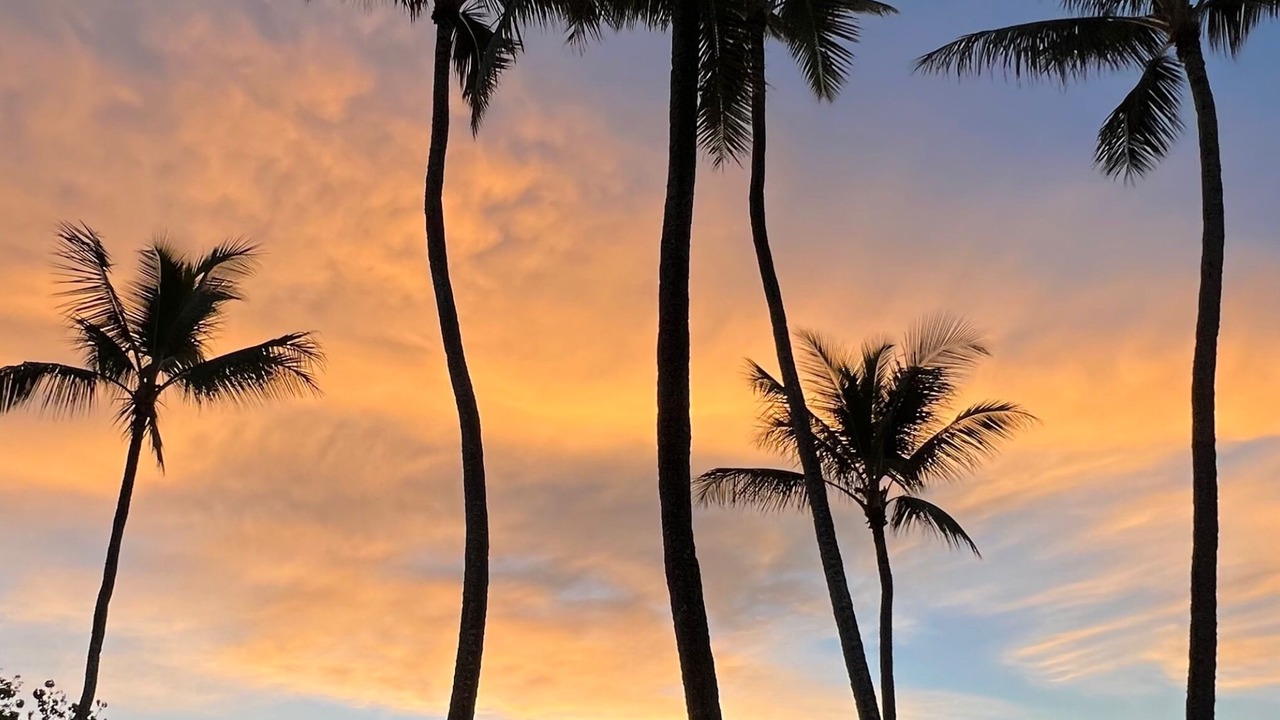 Photo of Others in Wailua