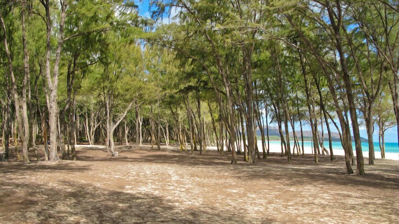 Photo of Others in Waimanalo Beach