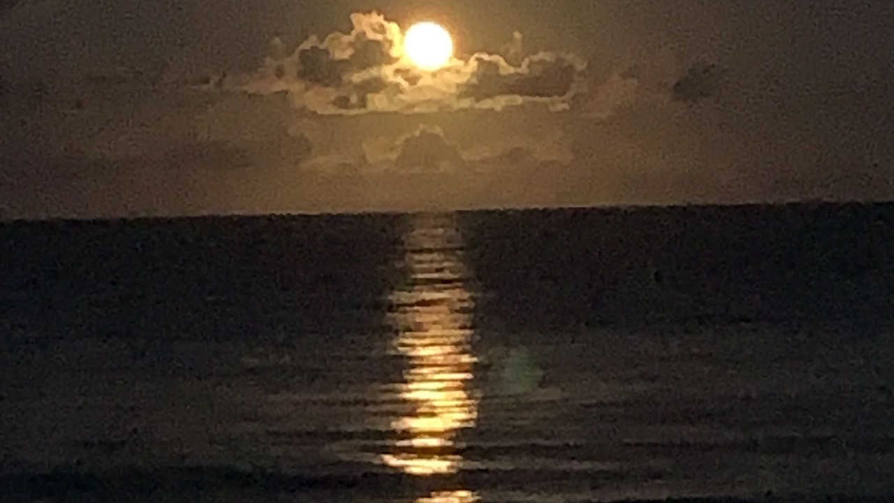 Photo of Others in Waimanalo Beach