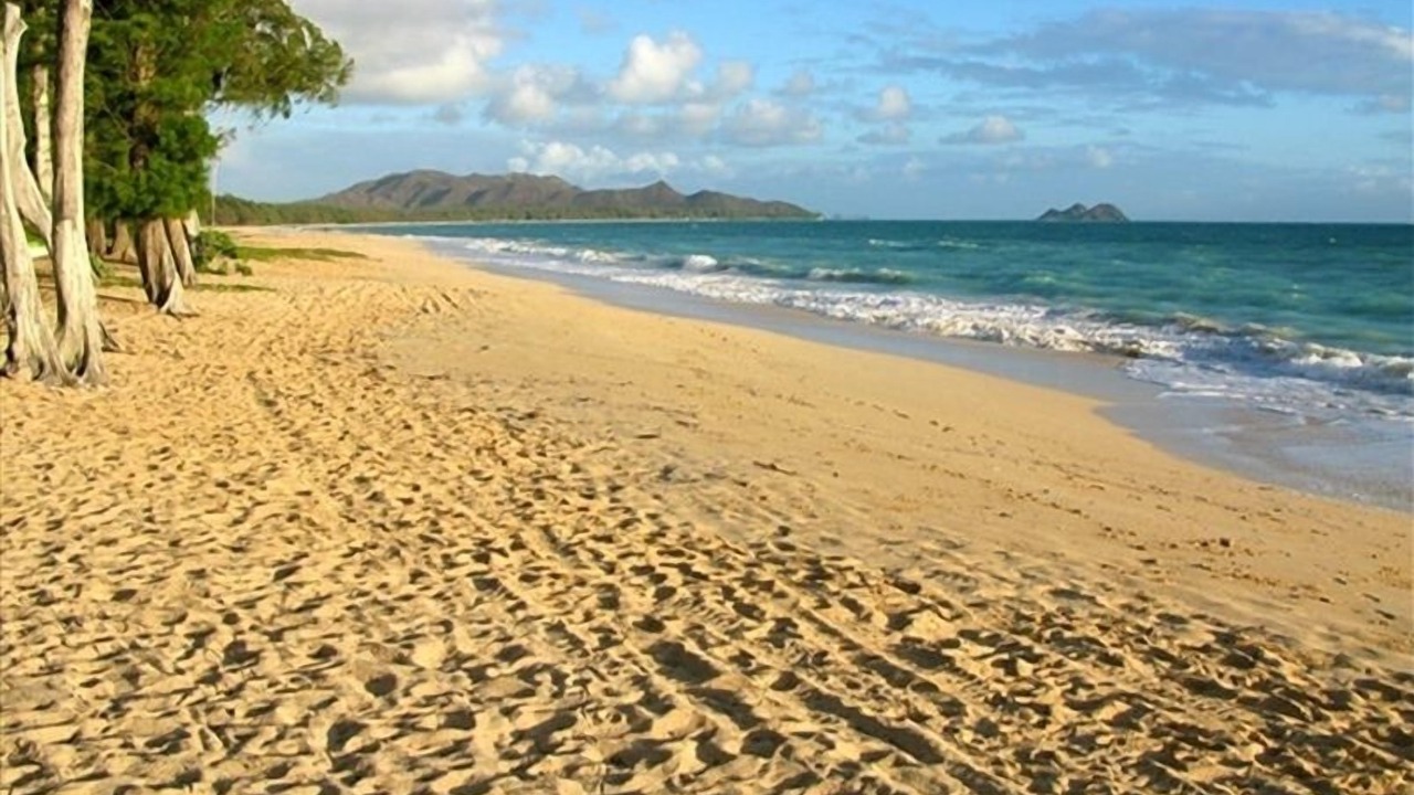 Photo of Others in Waimanalo Beach