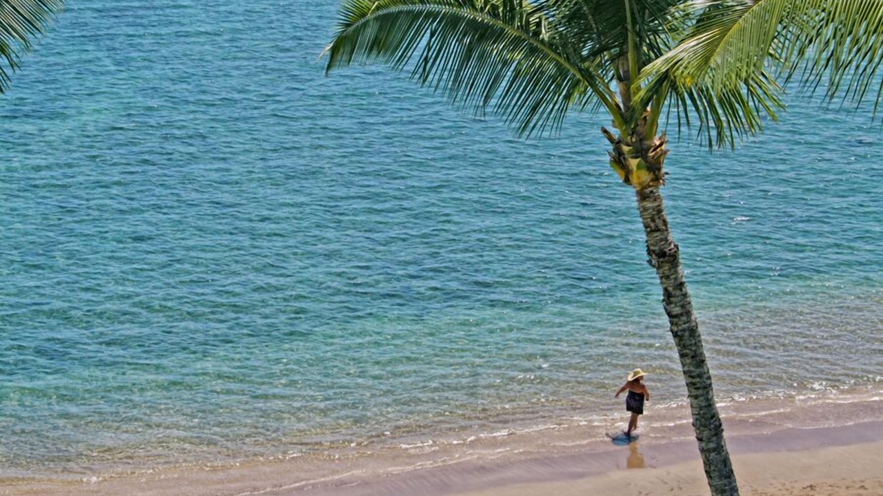 Photo of Others in Historic Lahaina Front Street
