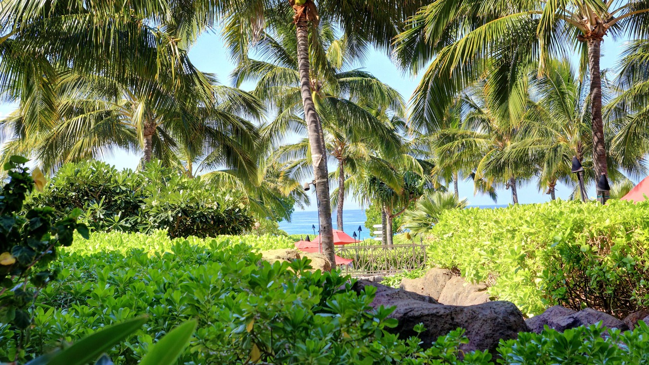 Photo of Others in Honokowai