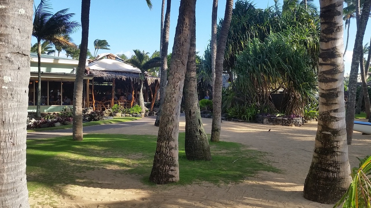 Photo of Others in Kihei