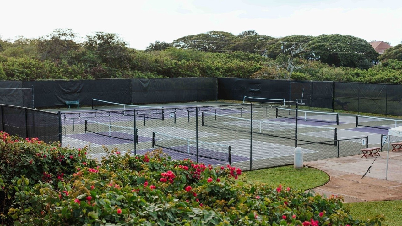 Photo of Others in Poipu