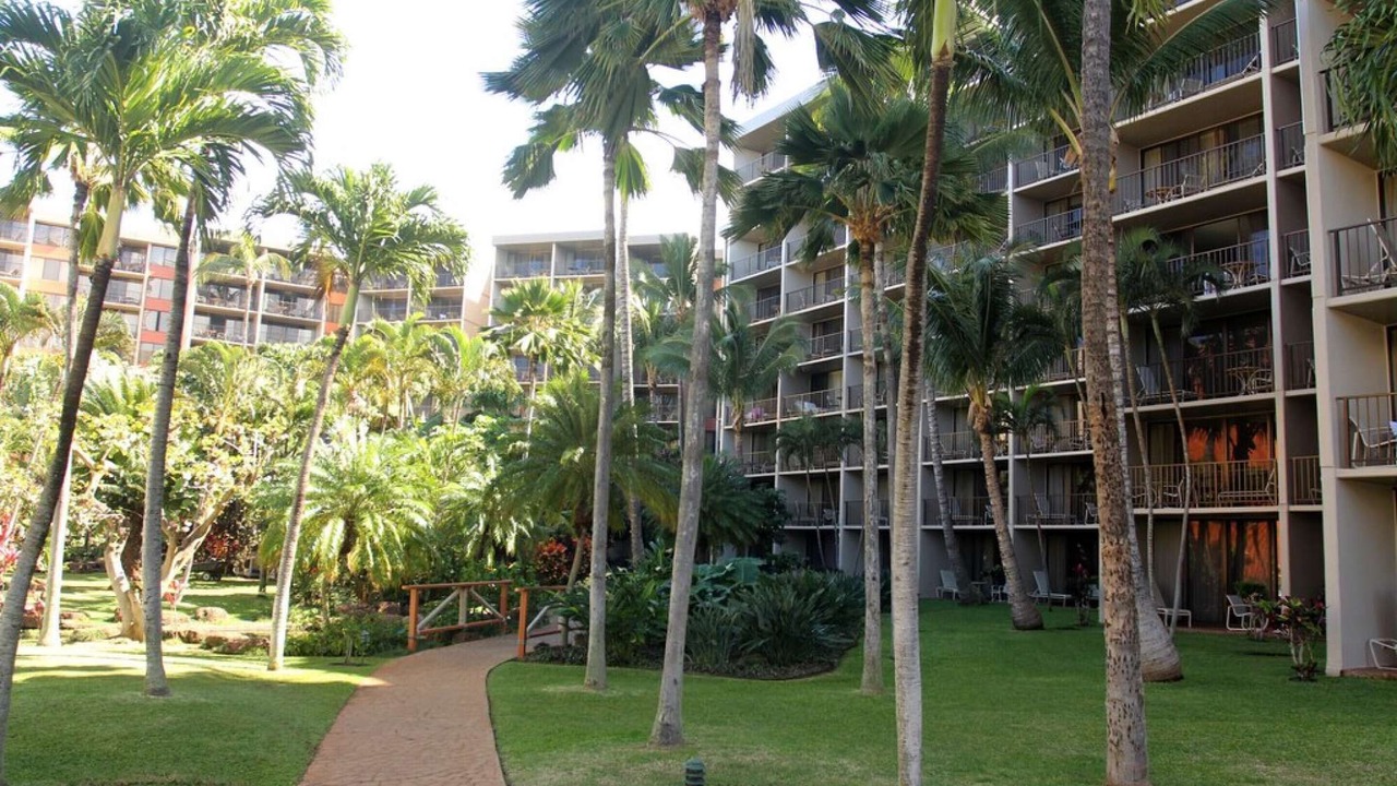Photo of Others in Honokowai