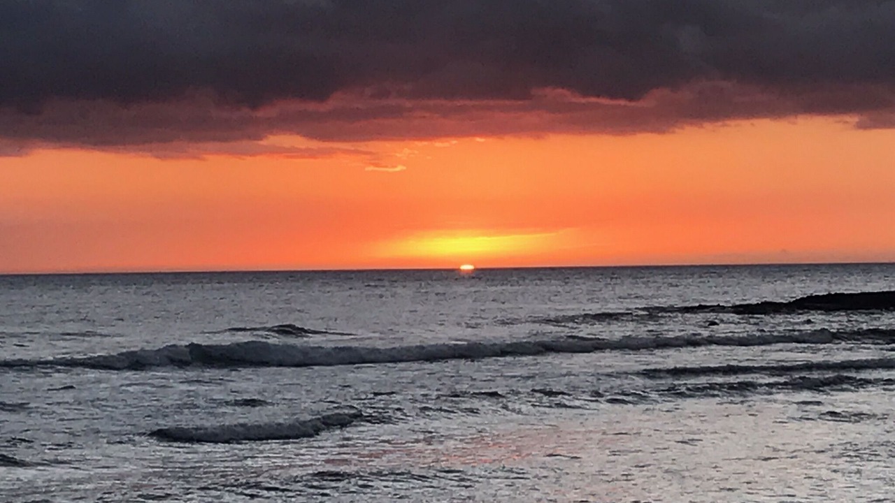 Photo of Others in Holualoa