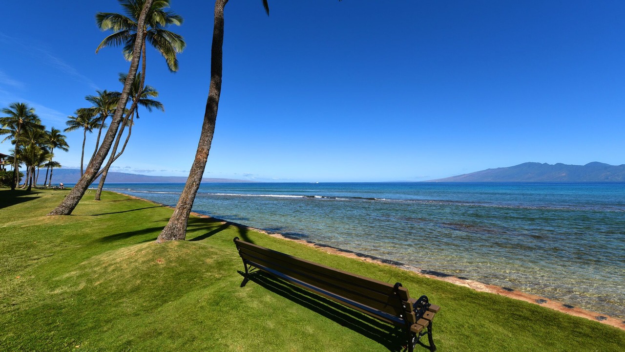 Photo of Others in Honokowai