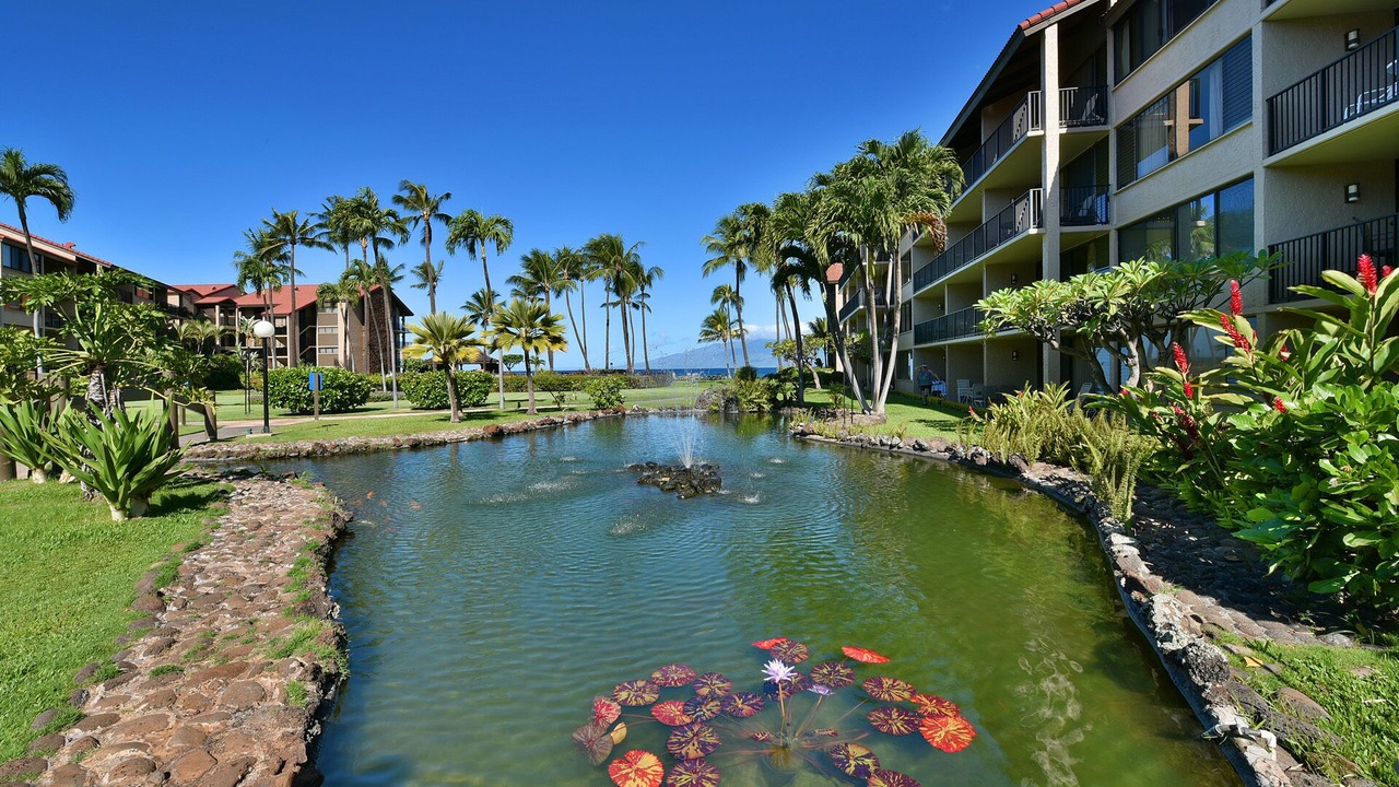 Photo of Others in Honokowai
