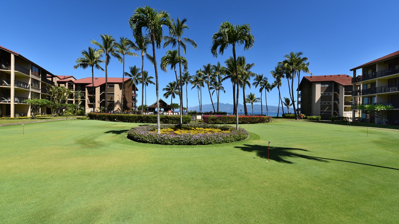 Photo of Others in Honokowai