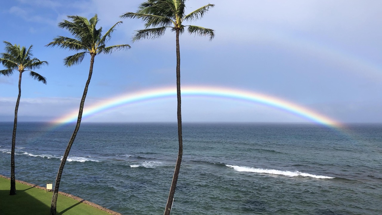 Photo of Others in Honokowai