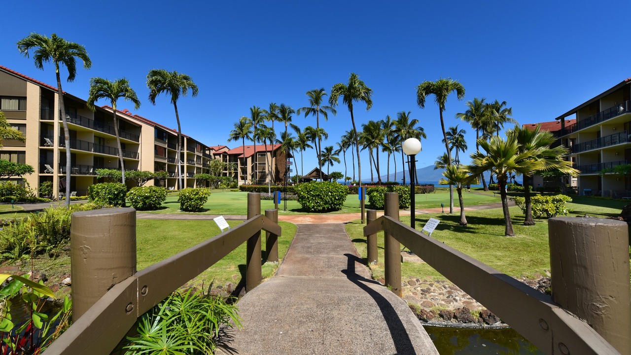 Photo of Others in Honokowai