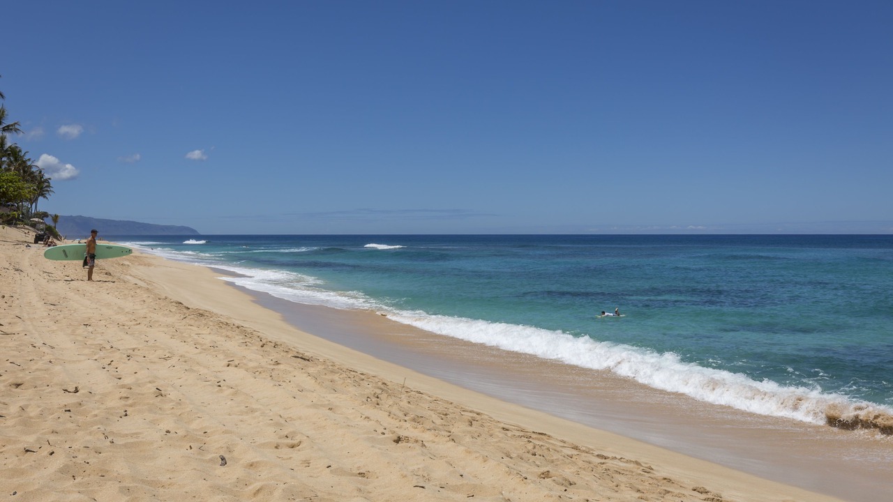 Photo of Others in Pupukea