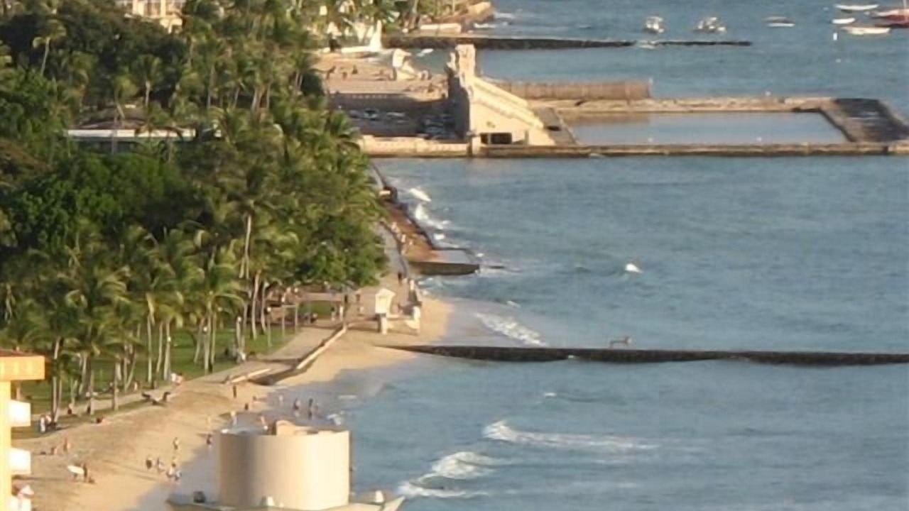 Photo of Others in Waikiki