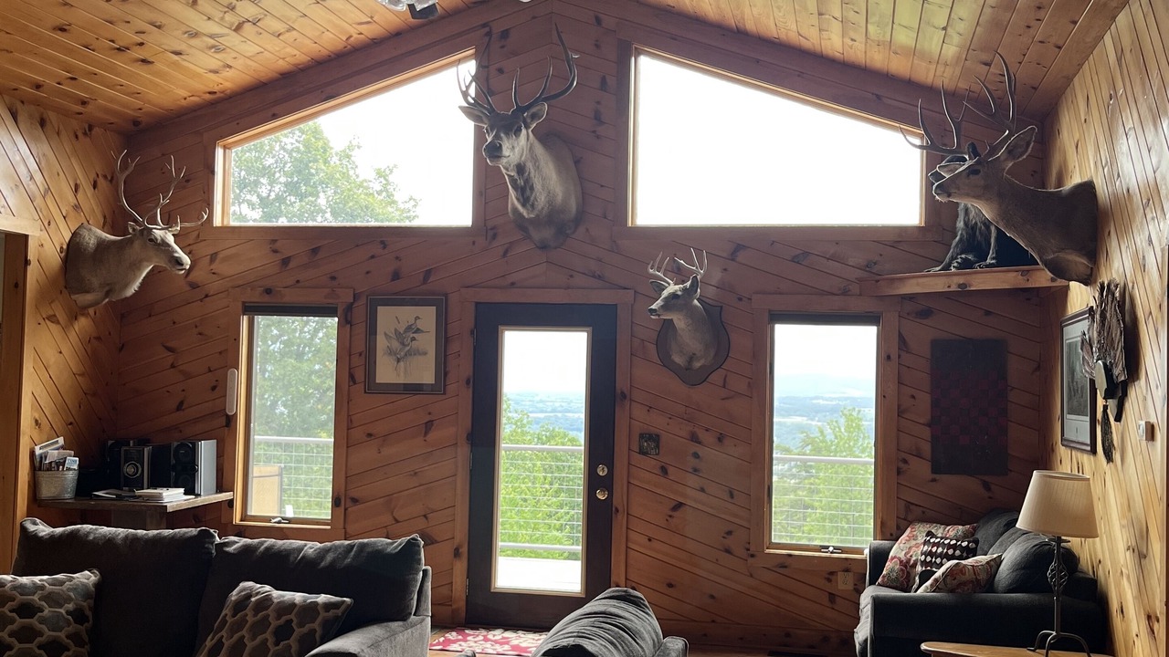Photo of Livingroom in Luray