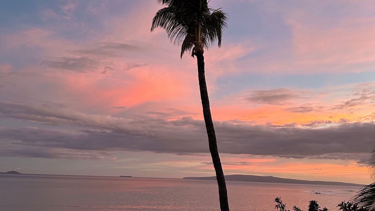 Photo of Others in Maalaea