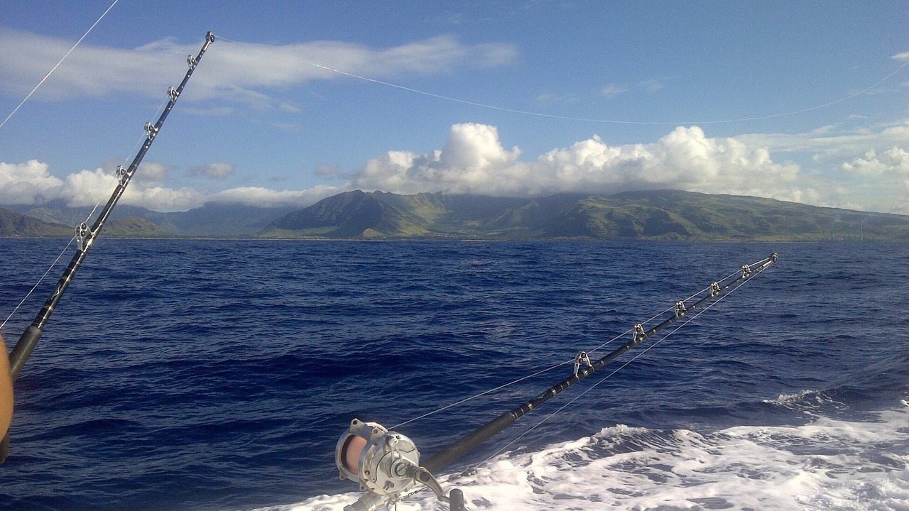 Photo of Others in Ko Olina