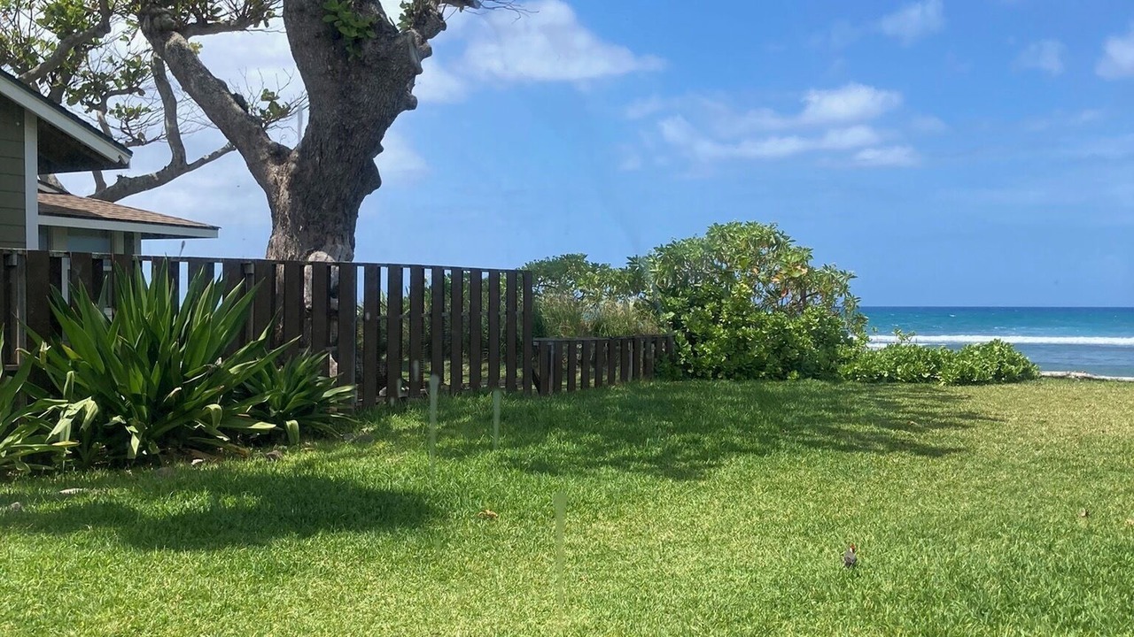 Photo of Others in Mokuleia