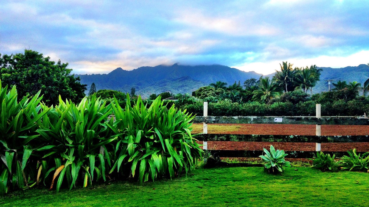 Photo of Others in Mokuleia