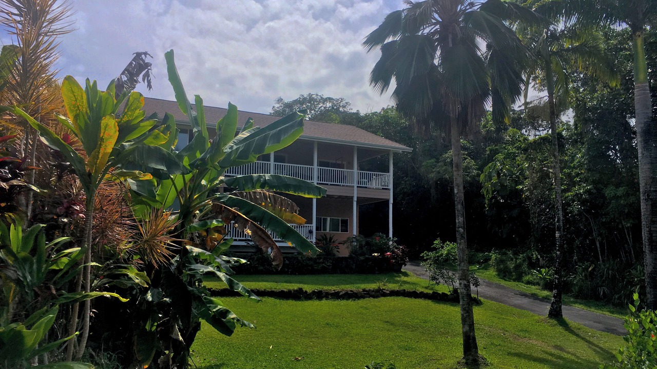 Photo of Outdoor in Kapoho