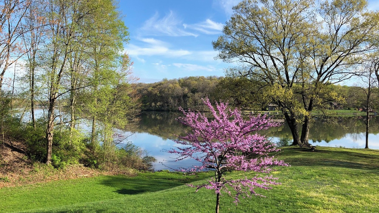 Photo of Outdoor in Logan
