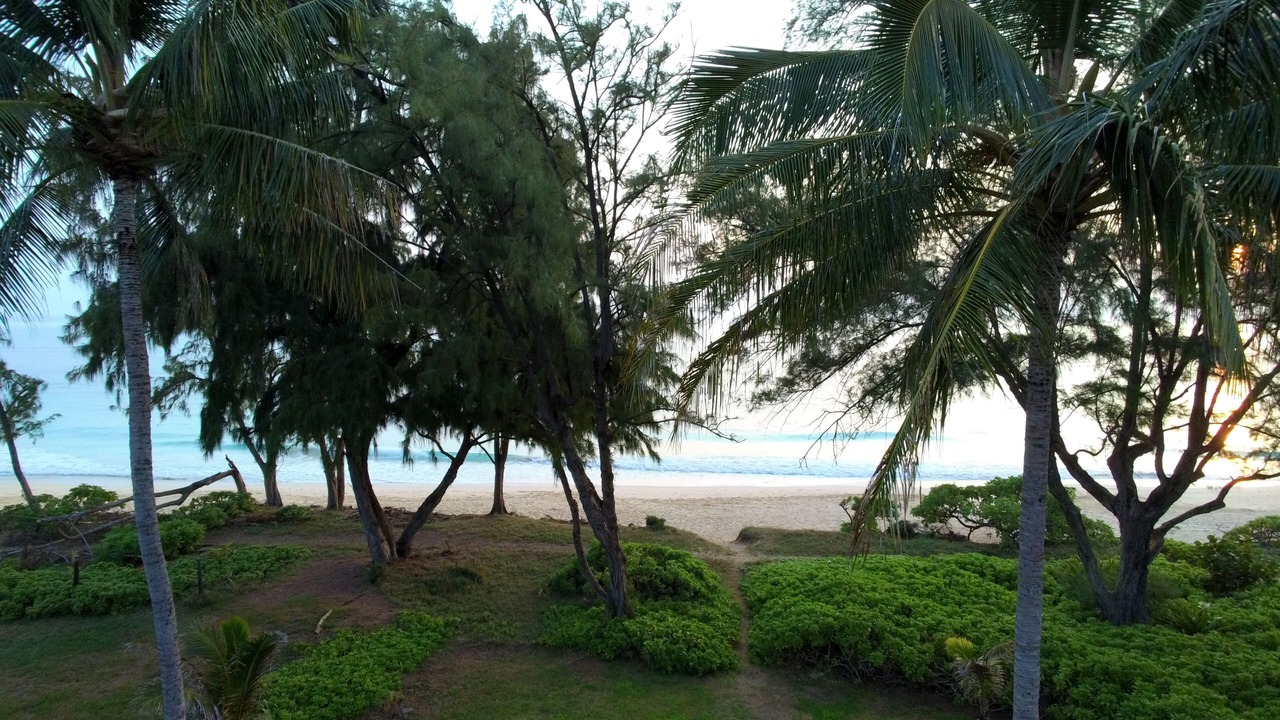 Photo of Others in Waimanalo Beach