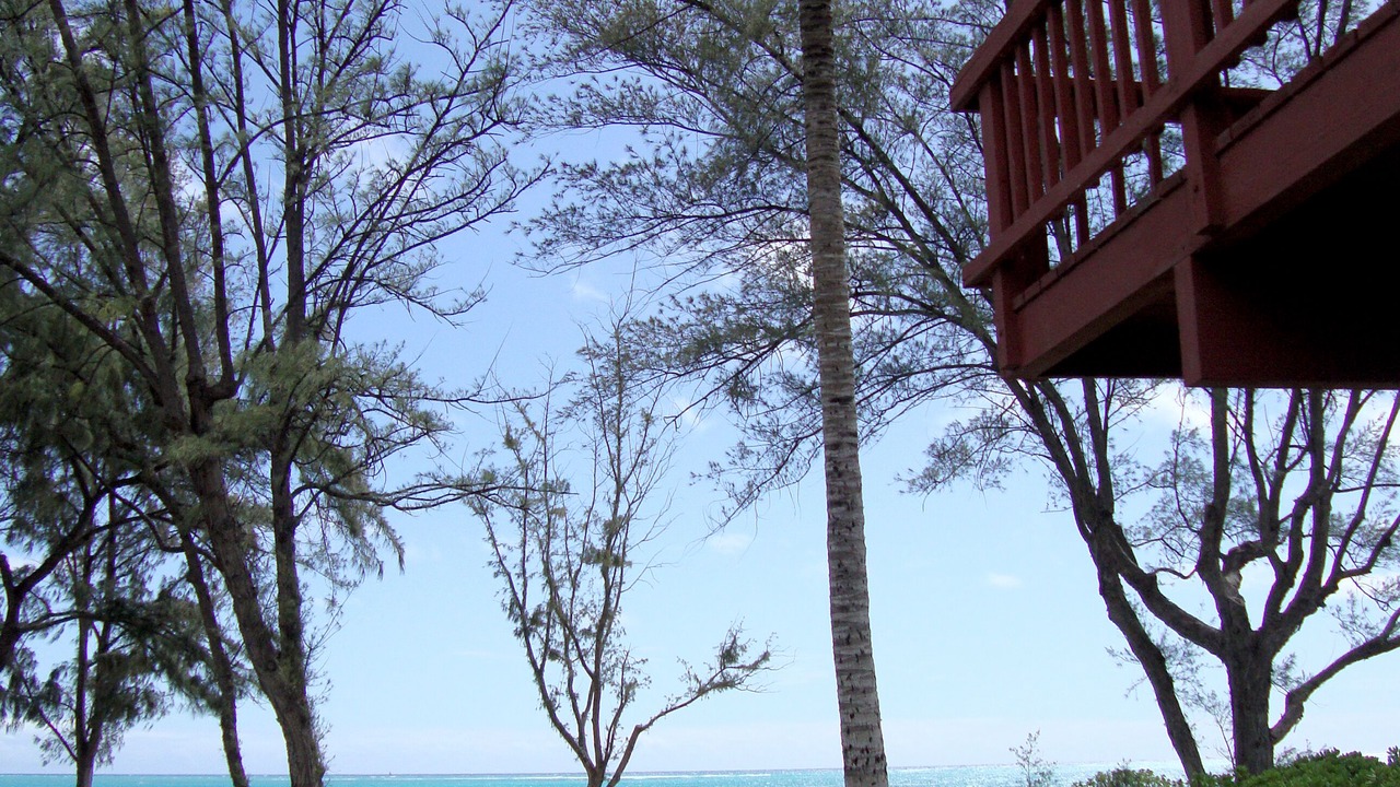 Photo of Others in Waimanalo Beach