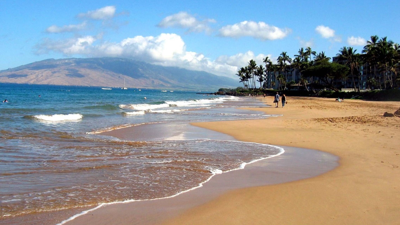 Photo of Others in Kihei