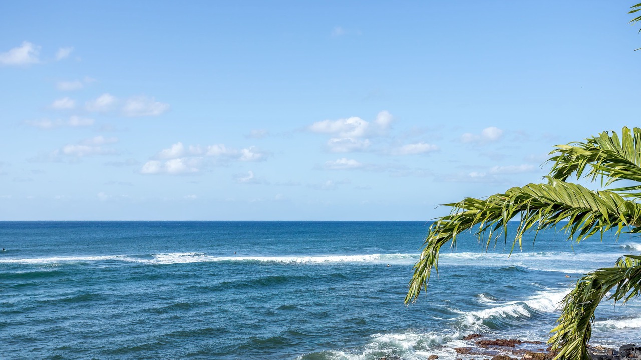 Photo of Others in Poipu