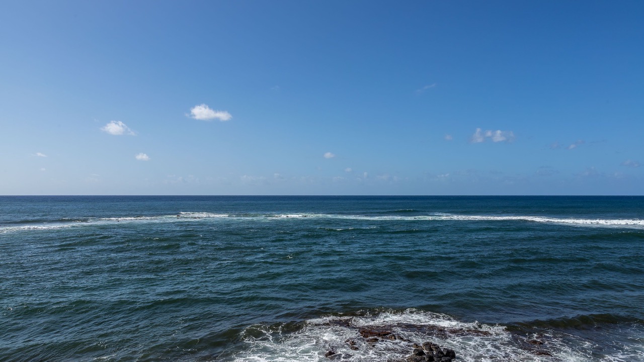 Photo of Others in Poipu