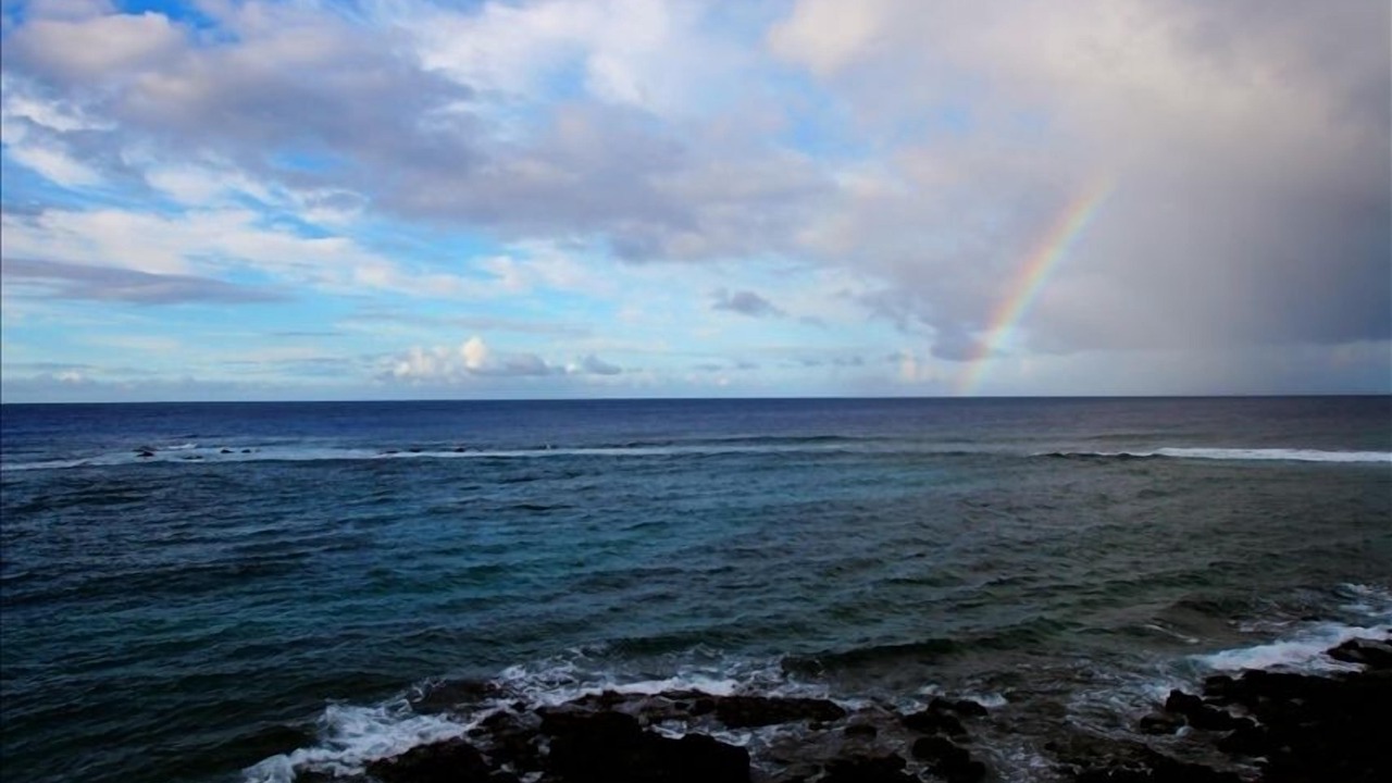Photo of Others in Poipu
