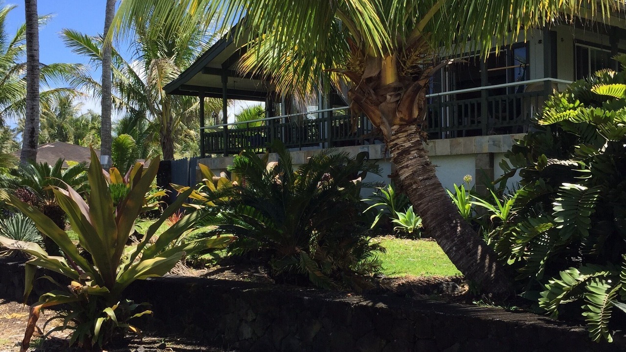 Photo of Others in Kapoho