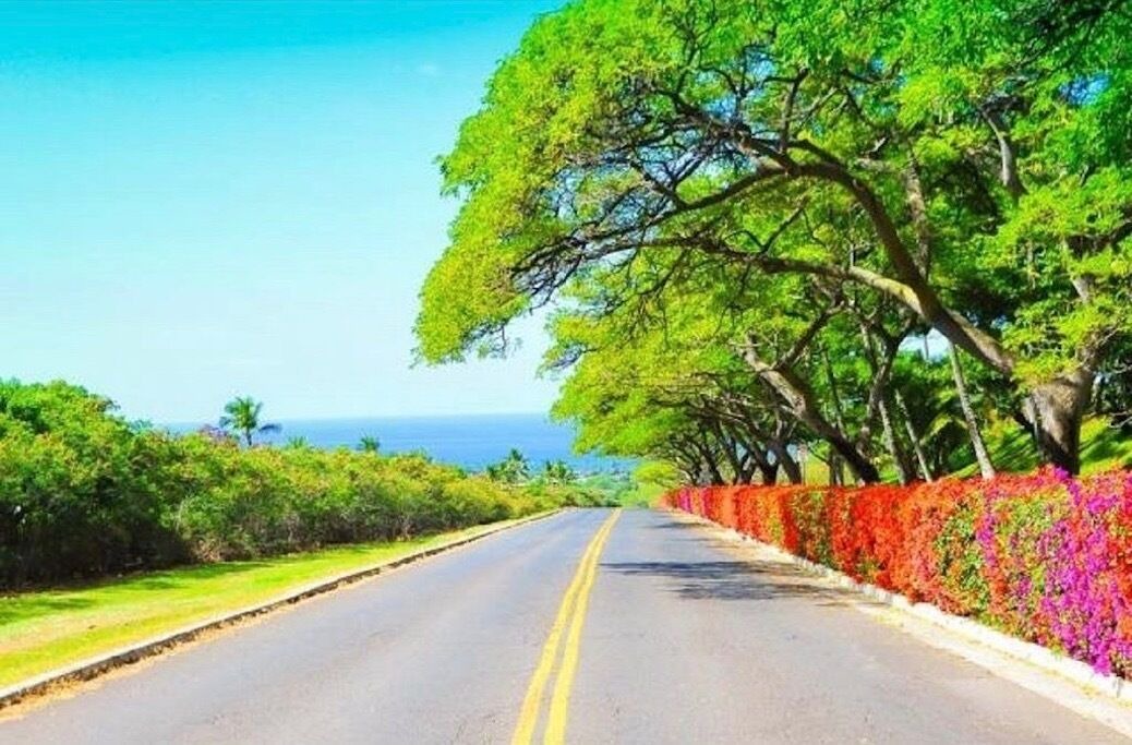 Photo of Others in Makaha