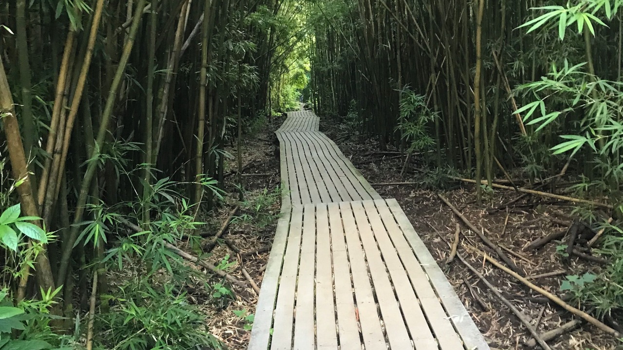 Photo of Outdoor in Honokowai