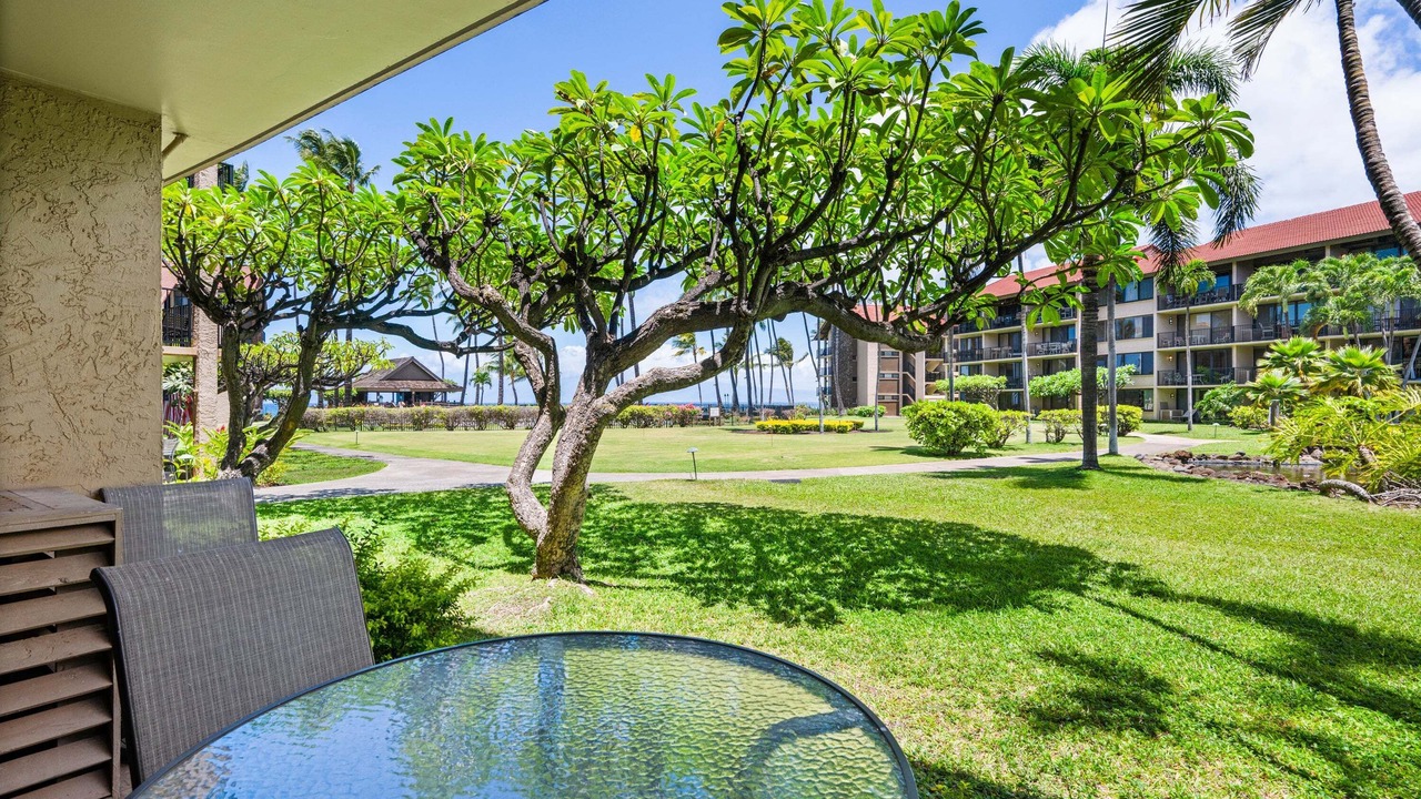 Photo of Outdoor in Honokowai