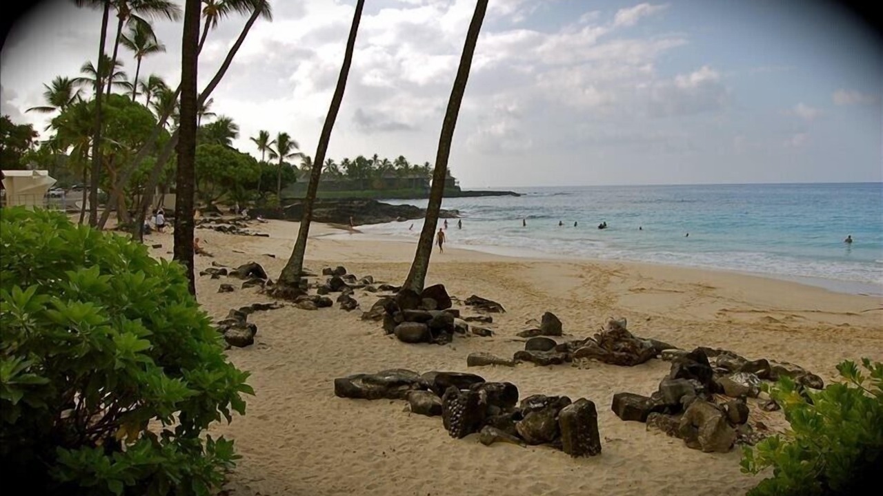 Photo of Others in Kahaluu Bay