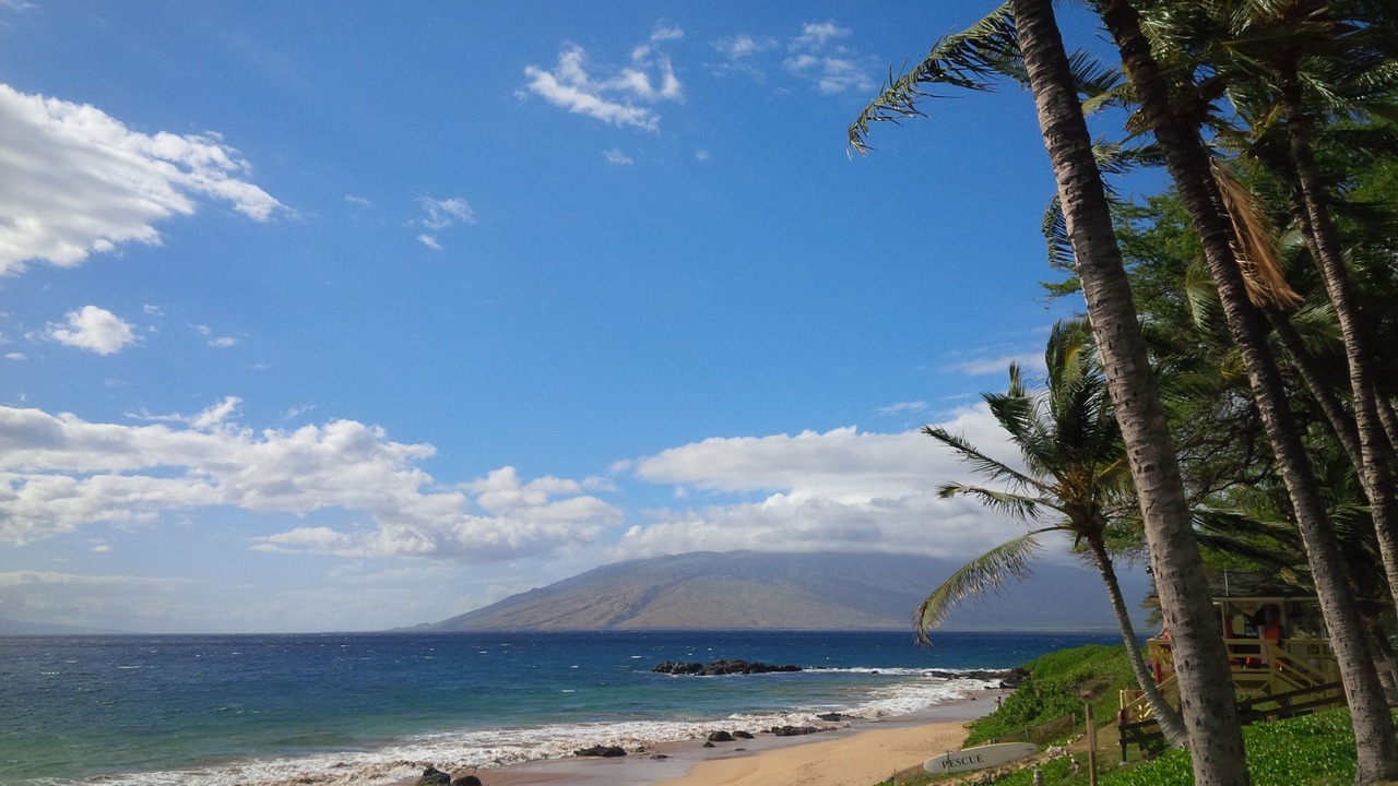 Photo of Others in Kihei